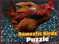 https://susarecipes.com/game/domestic-birds-puzzle